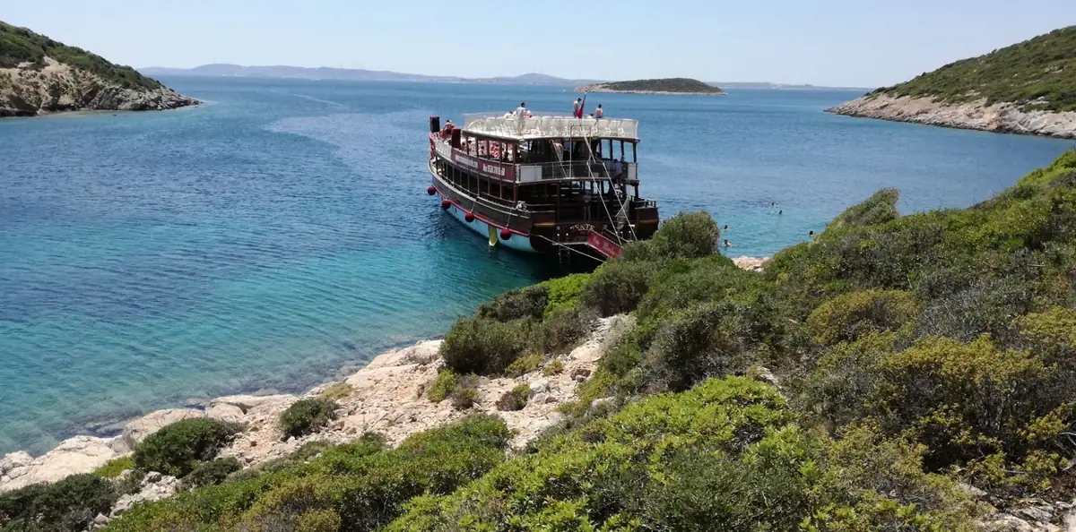 Akvaryum Koyu turkuaz deniz